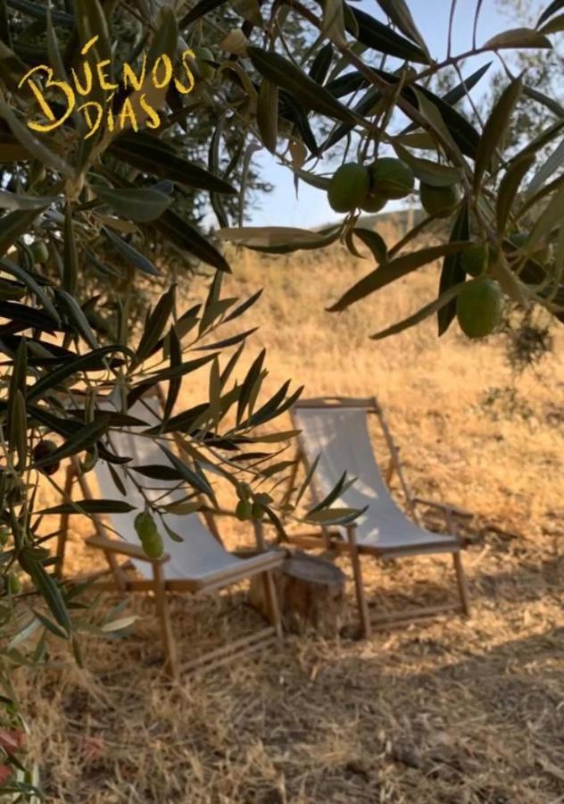 Отель Tienda De Safari Almagro Монтекорто Экстерьер фото